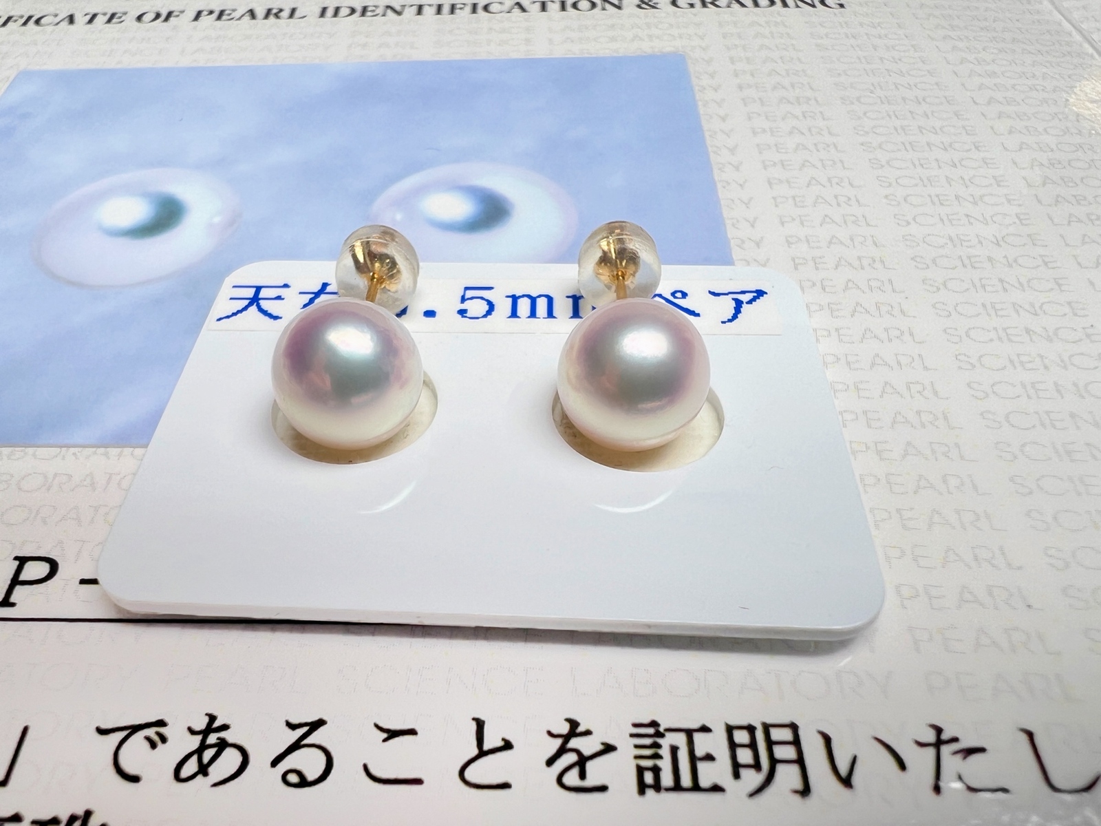 長崎県壱岐・対馬産 超希少アコヤ真珠オーロラ天女 ホワイト虹ピンク大 