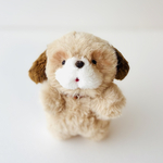 シーズーのきなこ