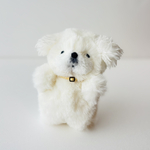 ペキニーズのゆきみ