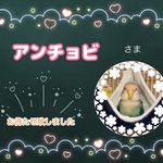 アンチョビ様専用ページ✨️