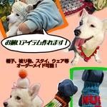オーダーメイドのペット用帽子🐶
