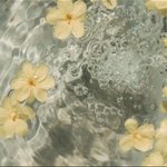 オーダー品専用ページ🐭