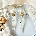 漂うハナクラゲ