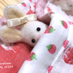 🍓　yasuyo-punbaさま専用　🍓