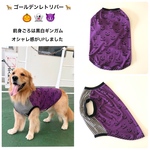 大型犬　🎃ハロウィン　ゴル男子くん🛒