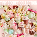 何が届くかおたのしみ！タイニーシークレットコレクション（加工自由）