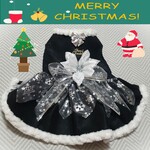 クリスマス・ワンピース黒／ポインセチア　小型犬 猫ちゃん用　送料無料　xwp01