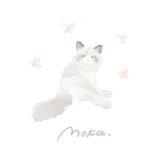 猫イラスト　うちの子　猫　愛猫
