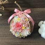 のりベー様専用 幸せの木の実 ブッダナッツ