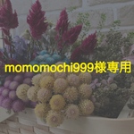 momomochi999様専用ページ
