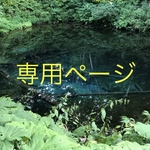 とくみつ様専用ページ