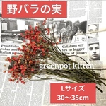 【野バラの実】Lサイズ(30〜35cm) 2025年10/24採取　トゲ処理済クリスマスリーススワッグ 花材ドライフラワー　自家栽培