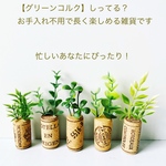 リピート続出！【 グリーンコルク 】