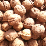 採れたて鬼くるみ（２０２５）１００個（Ｌサイズ）