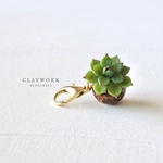 エケベリアのバッグチャーム