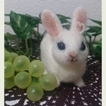 ドワーフホト 羊毛フェルト