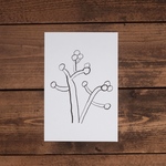 〔 ポストカード 〕 山ぶどう