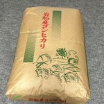 新米 玄米 【送料無料】令和7年 新潟岩船産コシヒカリ　5kg          （精米可）