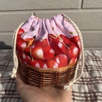 カゴいっぱいのさくらんぼ巾着🍒