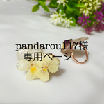 pandarou117様 専用ページ本物のお花の指輪2点セット