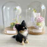チワワブラタンちゃん　選べるガラスケース2タイプ　犬フラワーアレンジメント　虹の橋　羊毛フェルト　小さな手のひらサイズ