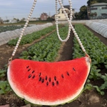 スイカポシェット🍉