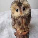送料込み切り株フクロウ(モリフクロウ)