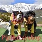 emma20190520様　ご注文ローン生地キャバリアさんホワイト柄とサークルレース生地との組み合わせスヌード