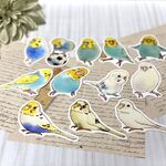 耐水ステッカー　セキセイインコ２