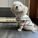 ぽこぽこドットのスプートニクのパーカー (white)