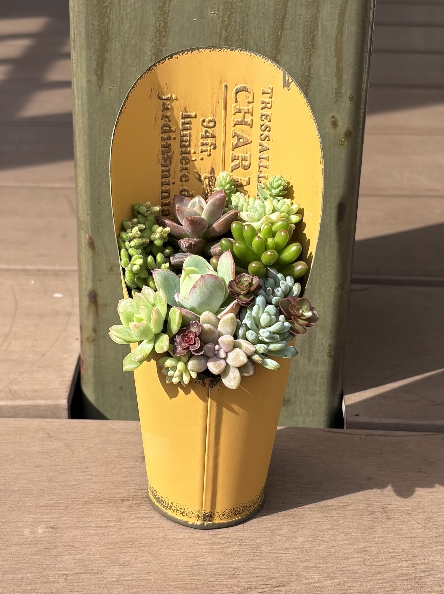 多肉植物 寄せ植え そのまま飾れる(•ө•)シマエナガ(小)No.1