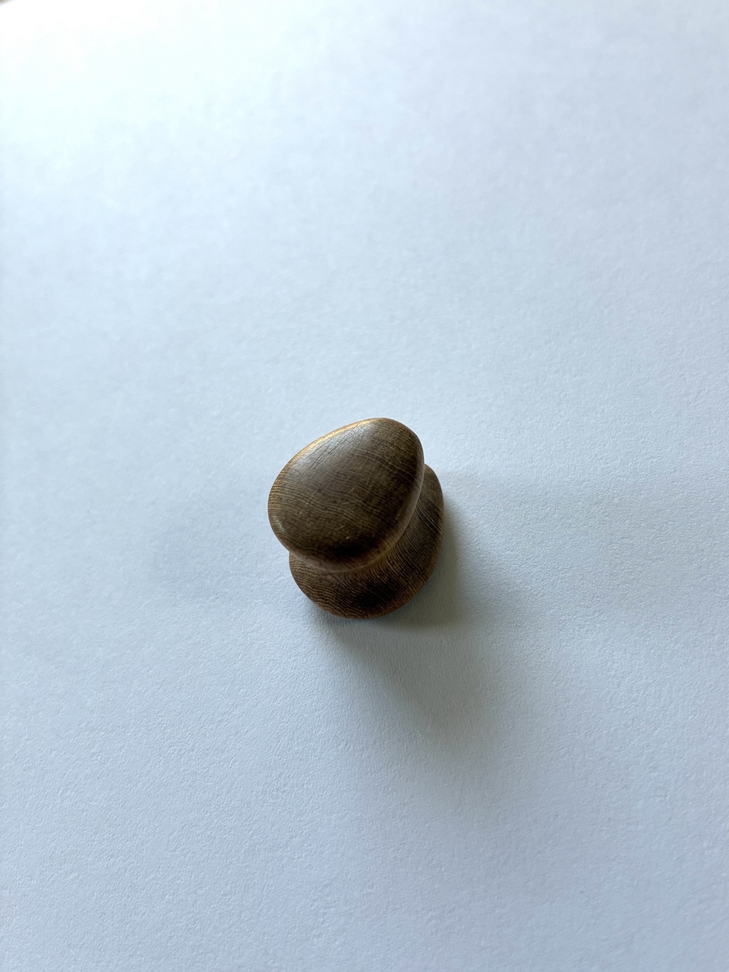 屋久杉・虎杢✳︎プラグピアス　16,0mm(5/8inch)