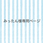 *みったん様専用ページ*