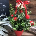 Xmasヒイラギ♡ラメ付き♡クリスマスに♡観葉植物