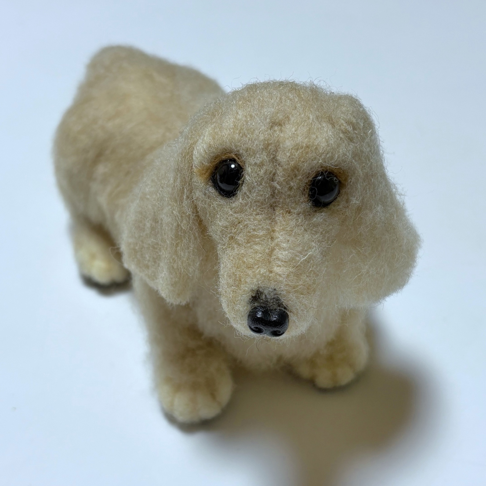 羊毛フェルトダックスちゃん☆*。 13,500円