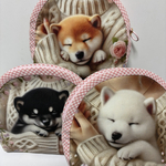 大好きな人に抱かれて眠る柴犬のポーチ❣️