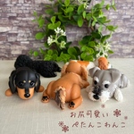 【5種から選べる・ぺたんこわんこ】ミニチュアダックス・ミニチュアシュナウザー・トイプードル・キャバリア
