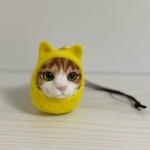 だるま猫ちゃん☆茶トラ