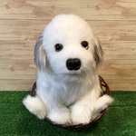 縫いぐるみ(MIX) 25センチ