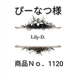 ぴーなつ様 