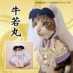 兜の被り物
