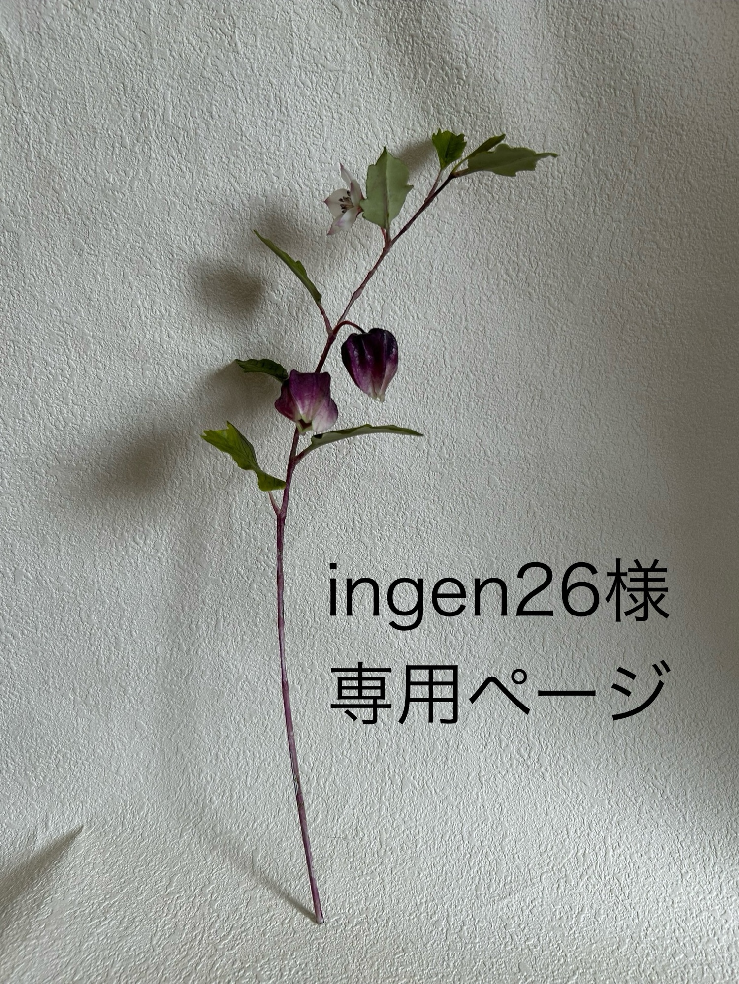 クレイフラワー ブドウ盆栽（展示作品） - FLORACLAY'S GALLERY