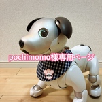 ももちゃんぽちちゃんデコピンちゃん専用