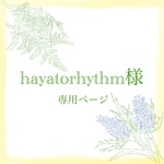 hayatorhythm様専用(手刺繍ブローチ星花咲く帽子を被ったハシビロコウ)