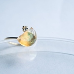 lunar eclips ring #18