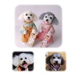 kogonta様専用♡袴わんこ　うちの子オーダー　MII WOOL