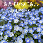 さえずりの丘様専用ページ