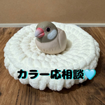 鳥ちゃんの為の皿巣(浅) Ver1.0【オフホワイト】