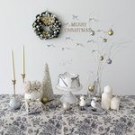 【モニター様限定！50%OFF】クリスマスセット