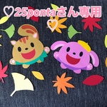 専用ページ
